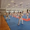 2026.05.01-03-dojo_stara_wies_35