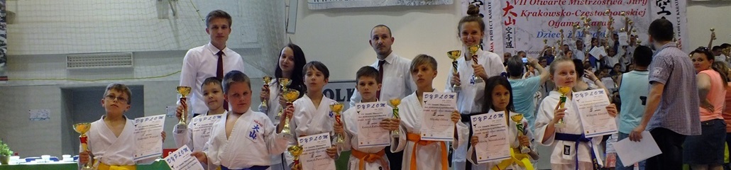 10-2015.06.06-VII_Mistrzostwa_Jury_Krakowsko-Czestochowskiej_w_Kata.JPG